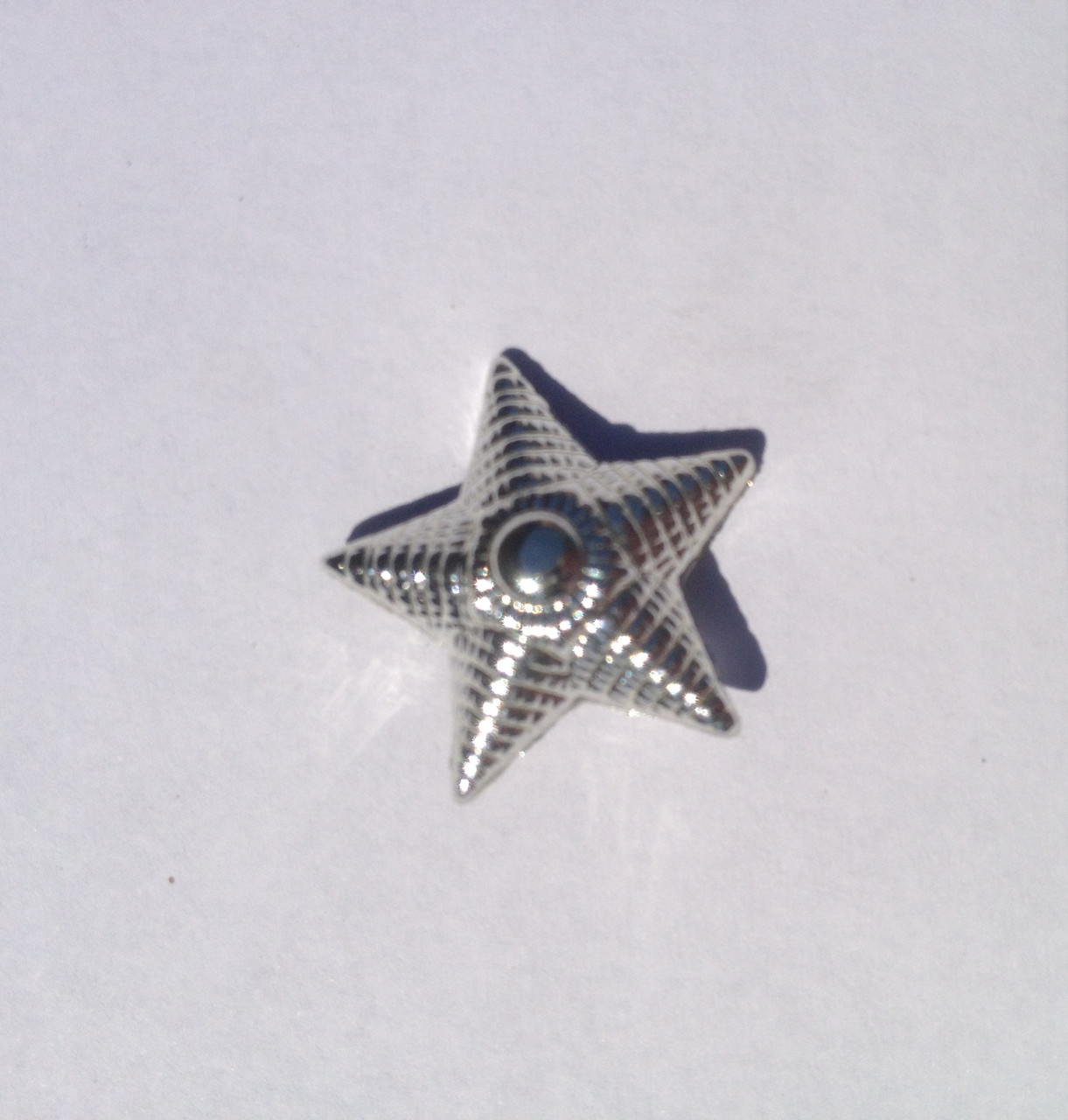 Військове обмундирування Зірка 20мм МВС срібло