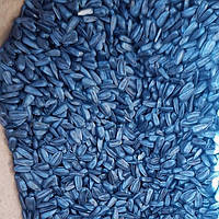 Насіння  раннього сортового соняшника Володимир 90 днів,  9.4 кг, протравлений, фр 3.0 Якість