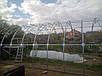 Каркас 6х8м арочний теплиці "Западенська 6+", фото 8