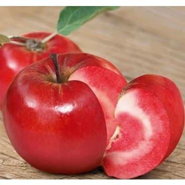 Саджанці червономясої яблуні Джерсі, фото 1