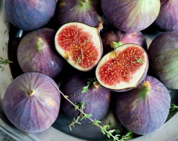 ІНЖИР КИЇВСЬКИЙ КРУПНОПЛІДНИЙ, фото 1