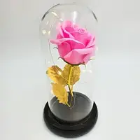 Вічна троянда в скляній колбі з підсвічуванням, гарна троянда лід з підсвічуванням Маленька A-54 Рожева