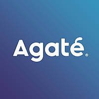 AGATE шини