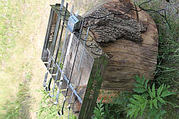 Автоматична шашличниця з неіржавкої сталі на 8 шампурів (шампури в комплект НЕ ВХОДЯТЬ)