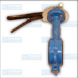 Засувка Батерфляй Ду40 з чавунним диском, фото 2