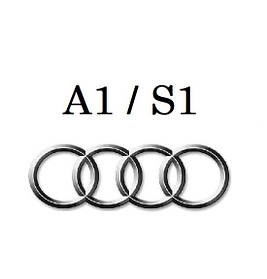 A1 / S1