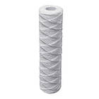 Картридж шнурковий BioSystems SC-10W-LN, Ду 55мм | 000014196, фото 3