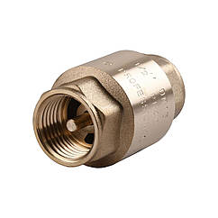 Клапан зворотнього ходу води PROFESSIONAL 1″ QP100 | 000014113