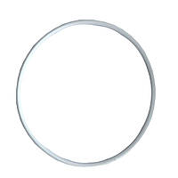Уплотнительное кольцо на прозрачную колбу SL20TS-BB Big Blue 10/20" | 000012623