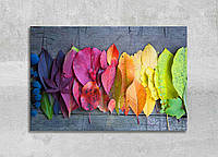 Картина Разноцветная палитра Яркие Осенние листья Природа Опавшие листья Декор на стену Цветные листики