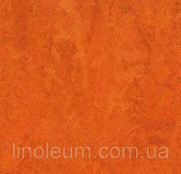 Натуральний лінолеум (2,5 мм) 3126 Marmoleum Fresco