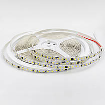 LED стрічка Biom Professional SMD2835 120шт/м 8W/м IP44 220V (7000-7500K) BPS-G3-20-220-2835-120-CW, фото 2