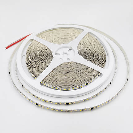 LED стрічка Biom Professional SMD2835 120шт/м 8W/м IP44 220V (7000-7500K) BPS-G3-20-220-2835-120-CW, фото 2