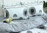 Постільна білизна Євро максі ранфорс (Туреччина) ТМ TAG R-T9212, фото 3