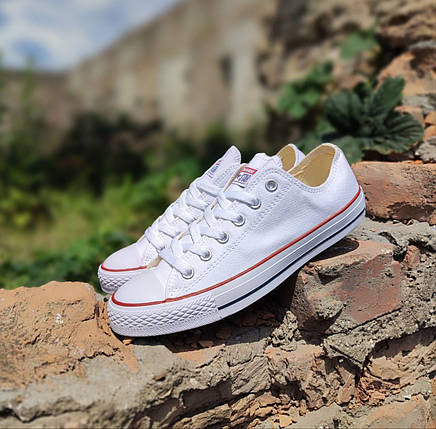 Converse Chuck Taylor All Star White кеди конверси низькі літні, фото 1