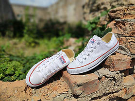 Converse Chuck Taylor All Star White кеди конверси низькі літні, фото 4