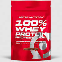 Протеин Scitec Nutrition 100% Whey Protein Professional 500 грамм