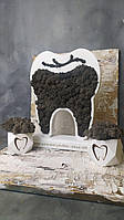 Декоративний зуб на підставці з мохом 33 см Декор у стоматологію Подарунок стоматологу Сувенір для стоматолога