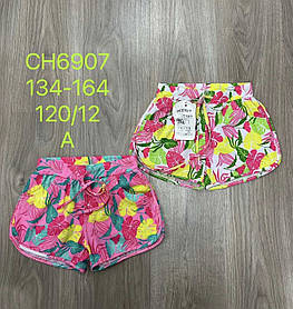 Шорти для дівчаток оптом, S&D, 134-164 рр., арт. CH-6907