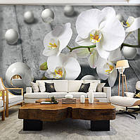 Флизелиновые фотообои орхидея в интерьере 368х254 см 3д Серые шарики и белые цветы (3013V8)+клей