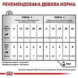 Royal Canin Recovery (Роял Канін Рекавері) вологий корм у період одуження (паштет), 195 гр, фото 3