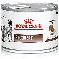 Royal Canin Recovery (Роял Канін Рекавері) вологий корм у період одуження (паштет), 195 гр