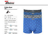 Чоловічі боксери із бавовни INDENA , к-кт із 2-х шт, L, фото 3