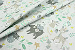 Тканина бязь "Бембы та  єноти " з мятними листочками на білом фоні № С-1909, фото 4