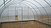 Каркас 5х12м плівкової теплиці "Оптимальна", фото 7