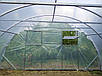 Теплиця 5х12м "Оптимальна" з плівкою 150 мкм, фото 6