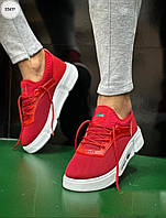 Модная мужская обувь Lacoste. Красные мужские кроссы на каждый день Лакост.