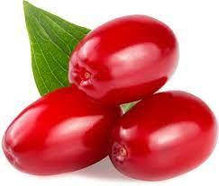 САДЖАНЦІ КИЗИЛА