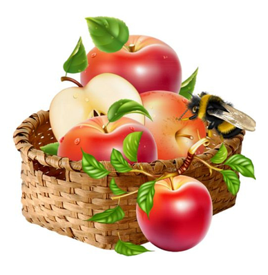 КОМПЛЕКТИ САДЖАНЦІВ