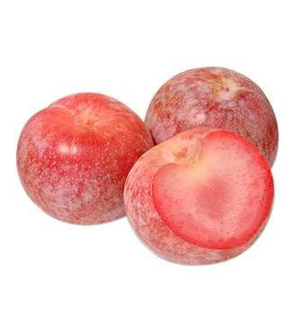 САДЖАНЦІ ПЛУМКОТА, ПЛУОТА