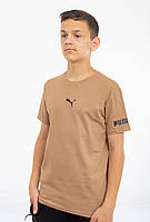 Чоловіча футболка Puma (по центру + струмінь) беж