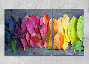 Картина на полотні Природа Затишок Осіннє листя Різнобарвне листя Веселка Природа Листя з дерев Сучасна