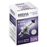 H4 Brevia+30%, фото 3