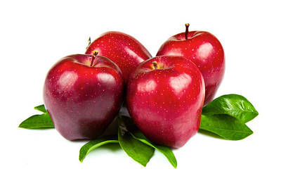 САДЖАНЦІ ЯБЛУНІ