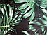 Кухонний фартух Листя Монстерры (вінілова наклейка скинали самоклеюча плівка) зелений 600*3000 мм, фото 5