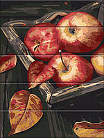 Картина за номерами на дереві "Яблуки" 30*40 см melmil