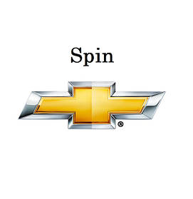 Spin