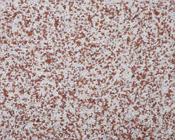 Мозаїчна штукатурка FTS STONE LINE DECOR (23 кг) D15-14