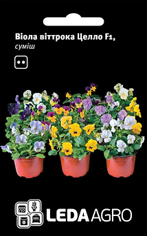 Віола віттрока Целло F1, суміш, 10 шт (Leda Agro)