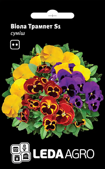Віола віттрока Трампет S1, суміш 10 шт (Leda Agro)