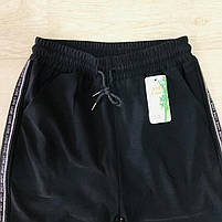 Спортивні штани жіночі оптом, 2XL-7XL pp,  № F-187, фото 2