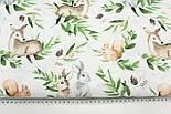 Тканина бязь "Козулі з білочками та зайчиками у гілках" на білому тлі № 1978, фото 6