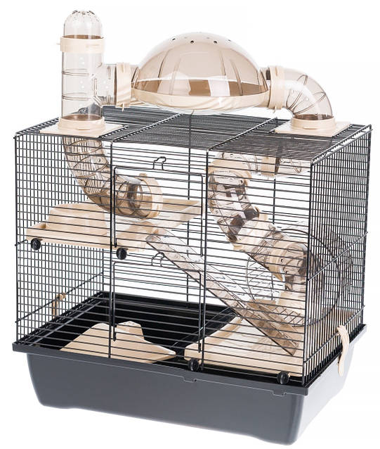 4588514646_w1280_h640_kletka-