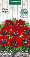 Адоніс Літній 1г СУ (одноріч.)