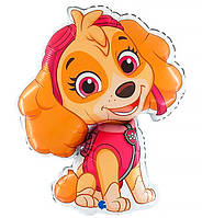 Повітряна куля "Скай", Італія, розмір 47х61 см