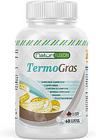 Жиросжигатель Healthy Fusion Termogras 60 капсул